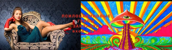 гашиш Нефтекумск